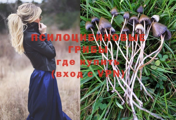 соль курить ск Арсеньев
