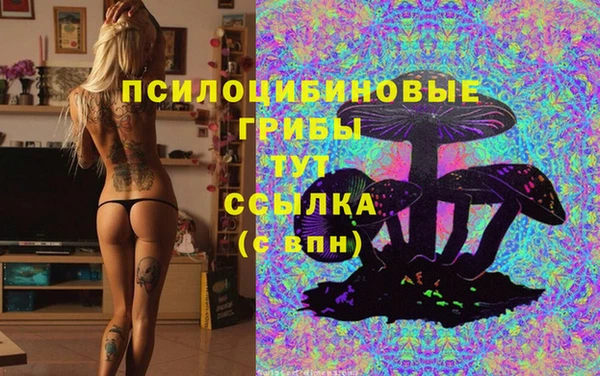 твердый Армянск