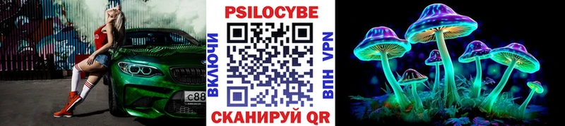 ОМГ ОМГ онион  Адыгейск  Галлюциногенные грибы Psilocybine cubensis  где купить  